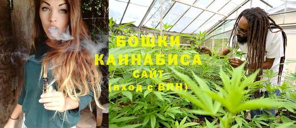 ГАЛЛЮЦИНОГЕННЫЕ ГРИБЫ Алексин