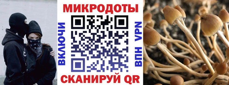 где можно купить наркотик Джанкой Галлюциногенные грибы GOLDEN TEACHER