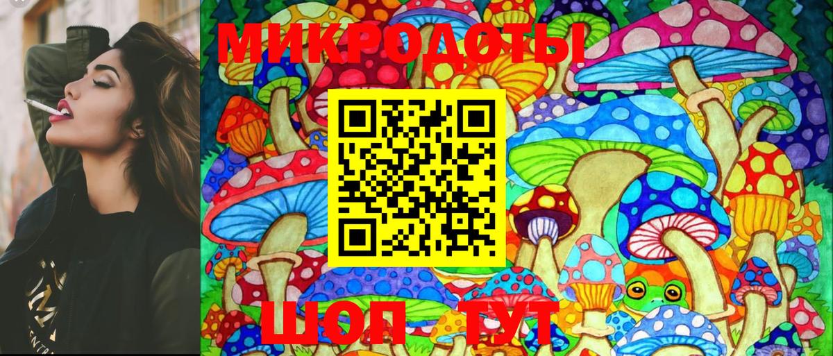 Псилоцибиновые грибы Cubensis Джанкой