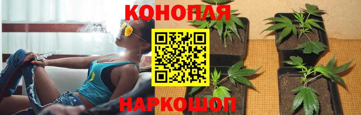 МАРИХУАНА OG Kush Джанкой